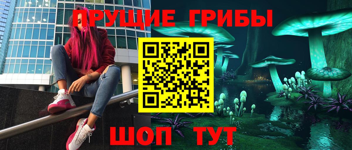 Псилоцибиновые грибы Psilocybine cubensis Партизанск